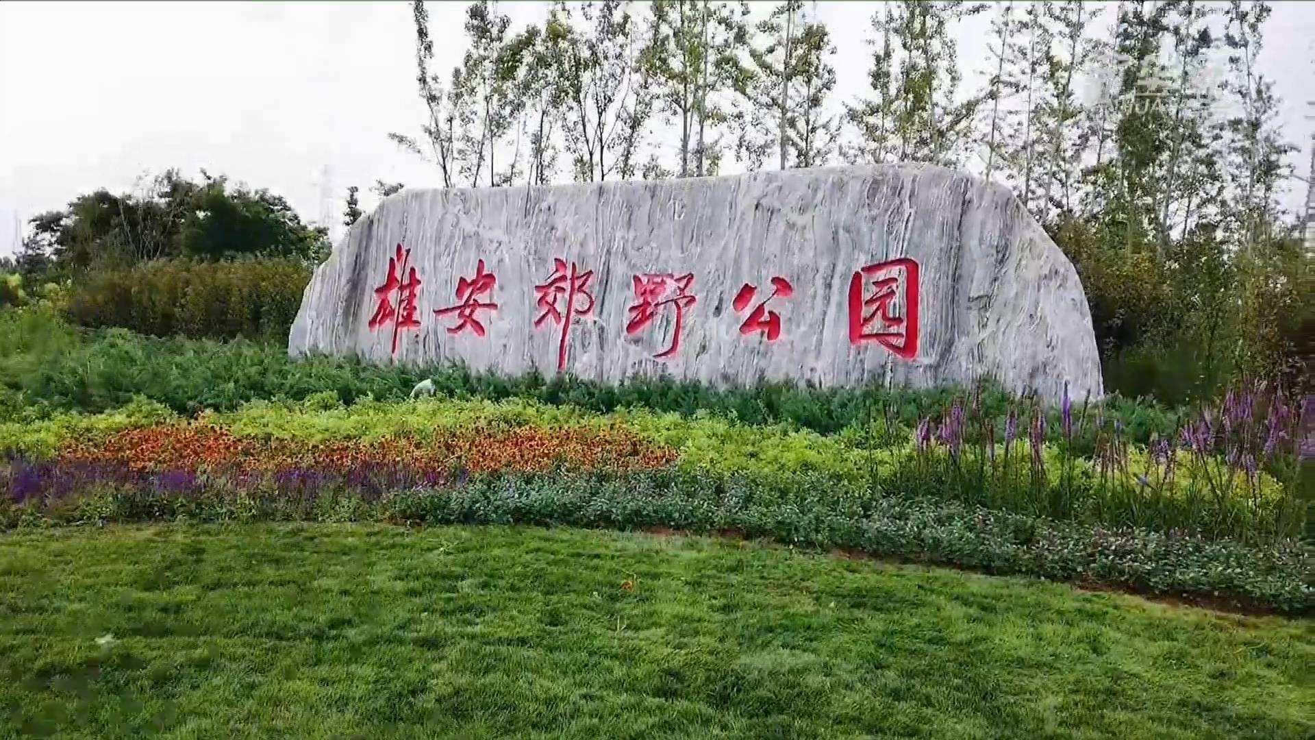 乐鱼官方站网页版登录入口雄安郊野公园建设工程及配套设施项目
